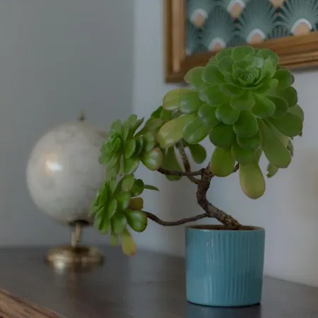 Mahouse 招待所 3*