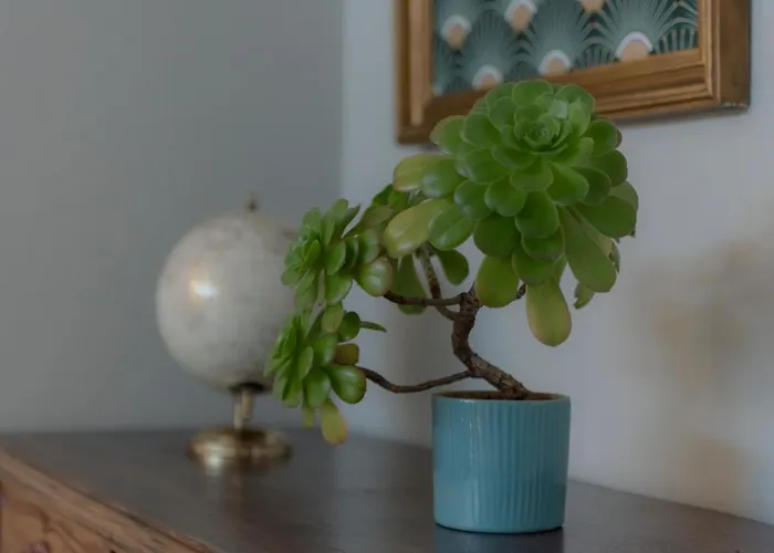 Mahouse Гостьовий будинок 3*